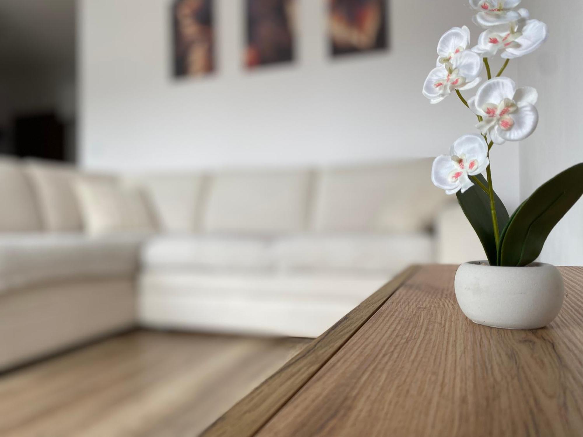 Go2Nati Apartament กดัญสก์ ภายนอก รูปภาพ